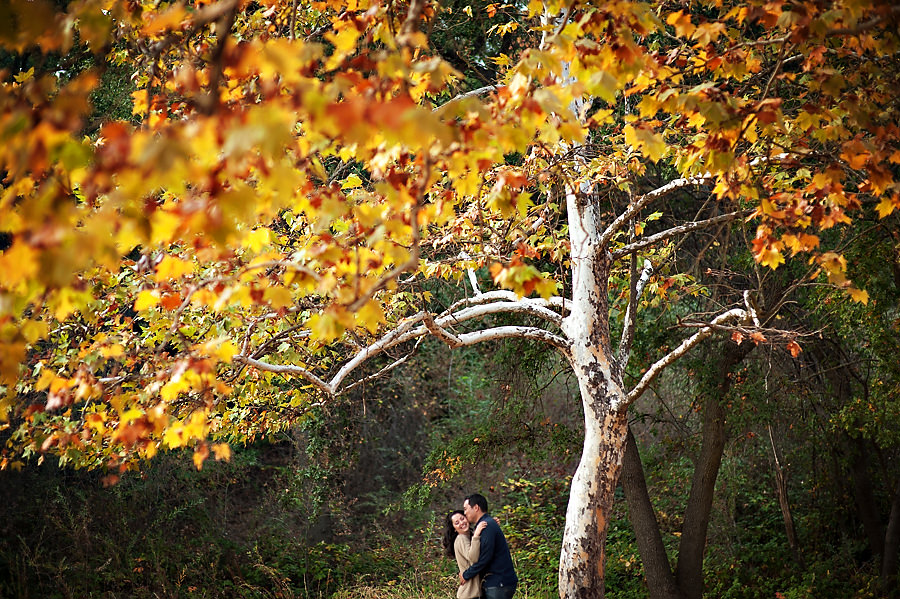 rosio-brett-003-sacramento-engagement-wedding-photographer-stout-photography