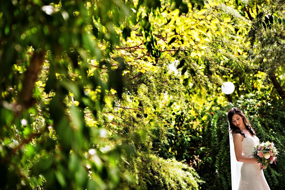 Emily-Mike-5-Park-Winters-Sacramento-Wedding-Photographer-Stout-Photography